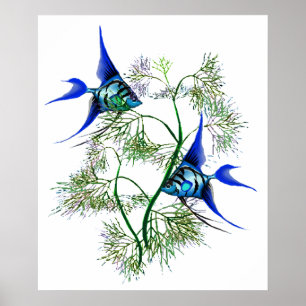 Blauwe Angelvis in Planten Poster