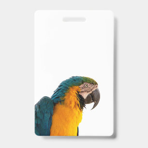 Blauwe ara papegaai badge