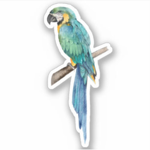 Blauwe Ara Papegaai Tropische Vogel Natuur Sticker