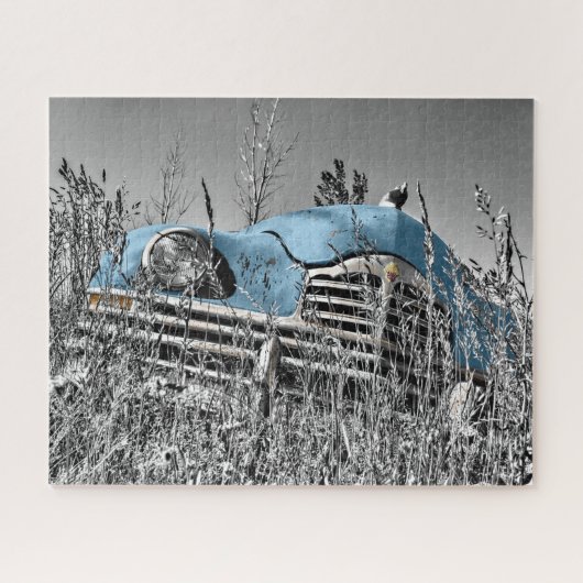 blauwe auto in grijs veld legpuzzel (Horizontaal)