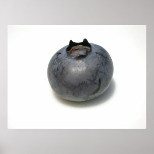 Blauwe bessen die ik ken 13 poster