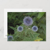 blauwe bloem briefkaart (Voorkant / Achterkant)