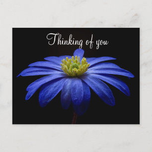Blauwe Bloem Briefkaart