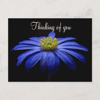 Blauwe Bloem Briefkaart