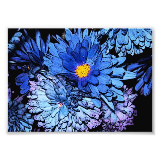 Blauwe bloemen 7x5 foto afdruk (Voorkant)