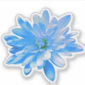 Blauwe bloemen blauwe bloem Daisy zonnebloem Sticker (Voorkant)