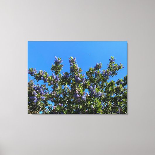 Blauwe bloemen canvas afdruk (Voorkant)