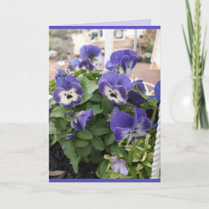Blauwe Bloemen Fluwelen Viooltje Viola Foto Kunstk Kaart