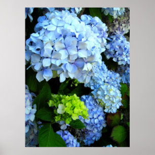 Blauwe bloemen poster