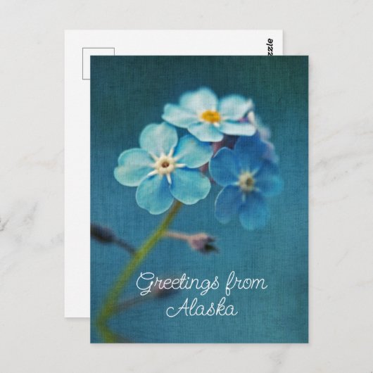 Blauwe Bloemen Vergeet me niet Groeten uit Alaska Briefkaart (Voorkant / Achterkant)