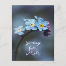 Blauwe Bloemen Vergeet-mij-nietje Groeten uit Alas