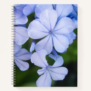 Blauwe Bloemige Bokeh Notitieboek