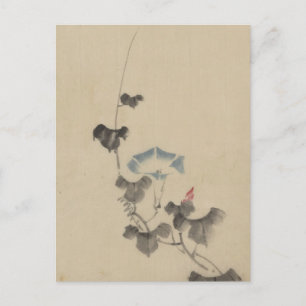 Blauwe bloesem van Morning Glory op Vine door Hoku Briefkaart