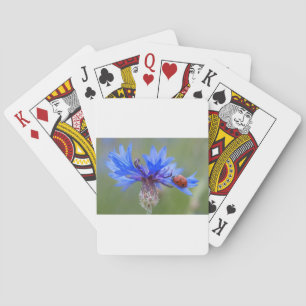 Blauwe Bloesems Lieveheersbeestje Vrede Liefde Des Pokerkaarten