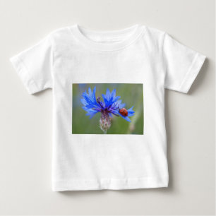 Blauwe Bloesems Lieveheersbeestje Vrede Liefde Lot