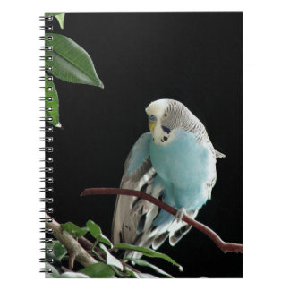 Blauwe boedgie-laptop, parkiet-bakkerij notitieboek