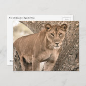 Blauwe boomklimmen, Oeganda-Afrika Briefkaart (Voorkant / Achterkant)