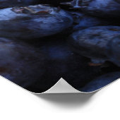 Blauwe bosbessen, vers poster (Hoek)