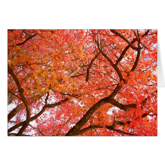 Blauwe boskaart — prachtige printkaarten (Voorkant Horizontaal)