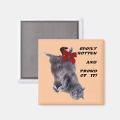 Blauwe Britse Shorthair Cat koelkast magneet (Voorkant / Achterkant)