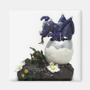Blauwe broeddraak magneet