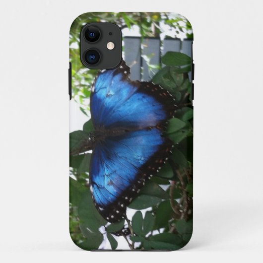 BLAUWE BUTTERS Case-Mate iPhone CASE (Achterkant)