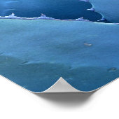 Blauwe cactus poster (Hoek)