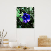 Blauwe Camellia 401 Poster (Keuken)