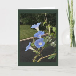 Blauwe Cascade Morgen Winde lege kaart