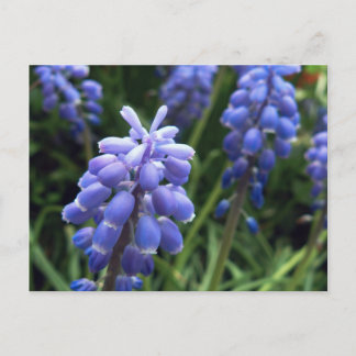 Blauwe cellen briefkaart