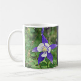 Blauwe colorado Columbine Mok