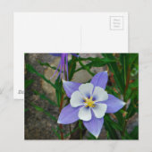 Blauwe columbine briefkaart (Voorkant / Achterkant)