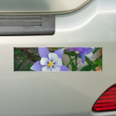 Blauwe columbine bumpersticker (Op auto)