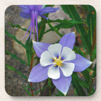 Blauwe columbine drankjes onderzetter