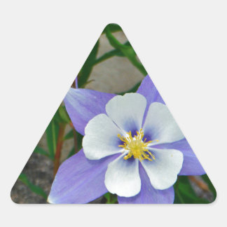 Blauwe columbine driehoek sticker