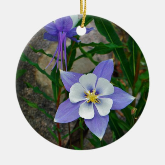 Blauwe columbine keramisch ornament (Voorkant)