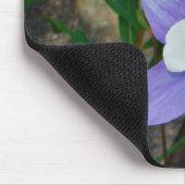 Blauwe columbine muismat (Hoek)