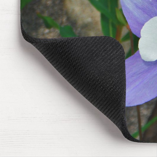 Blauwe columbine muismat (Hoek)