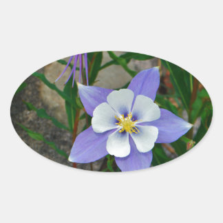 Blauwe columbine ovale sticker