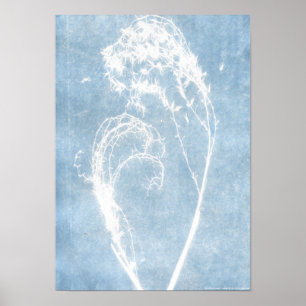 Blauwe Cyanotype Plant Hart Poster