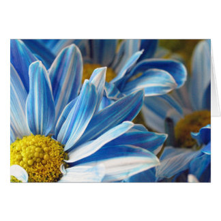 Blauwe dagen #2