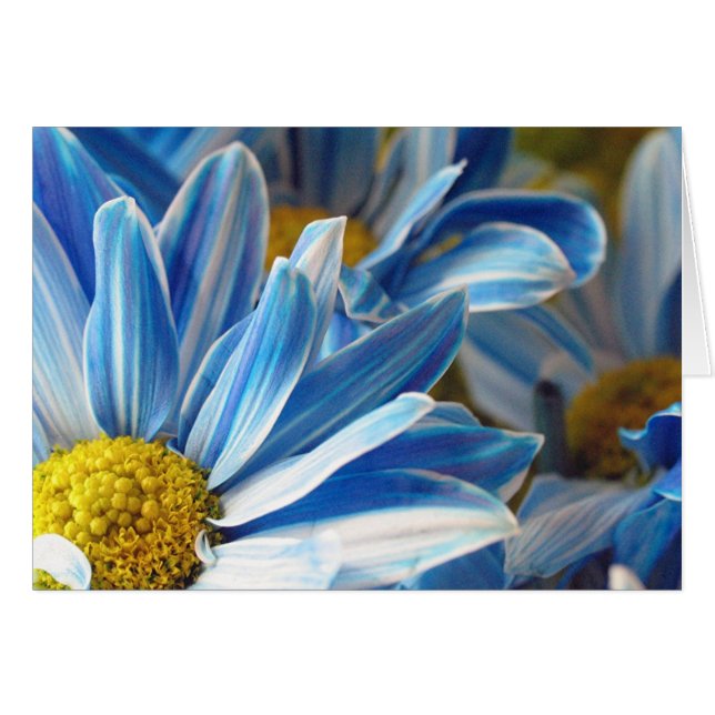 Blauwe dagen #2 (Voorkant Horizontaal)