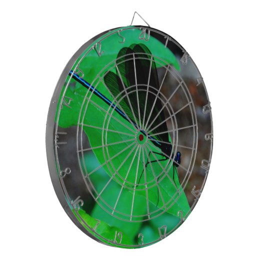 Blauwe Damselfly op een groen blad. Dartbord (Voorkant Links)