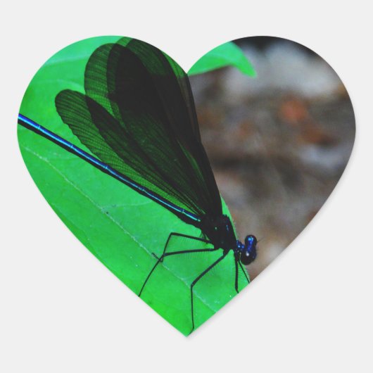 Blauwe Damselfly op een groen blad. Hart Sticker (Voorkant)