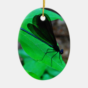 Blauwe Damselfly op een groen blad. Keramisch Ornament