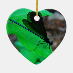 Blauwe Damselfly op een groen blad. Keramisch Ornament