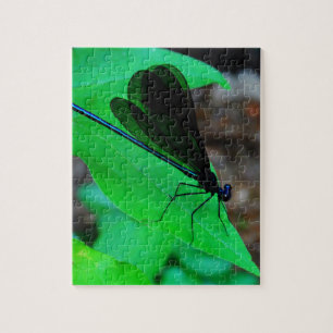 Blauwe Damselfly op een groen blad. Legpuzzel
