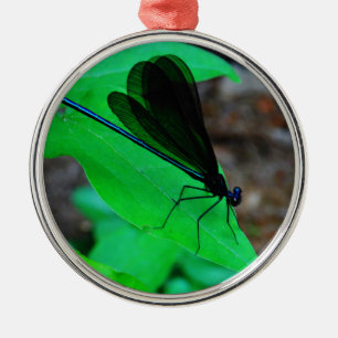Blauwe Damselfly op een groen blad. Metalen Ornament
