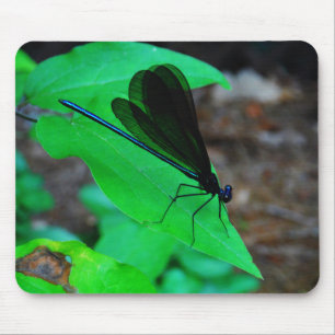 Blauwe Damselfly op een groen blad. Muismat