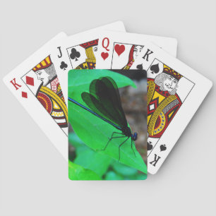 Blauwe Damselfly op een groen blad. Speelkaarten